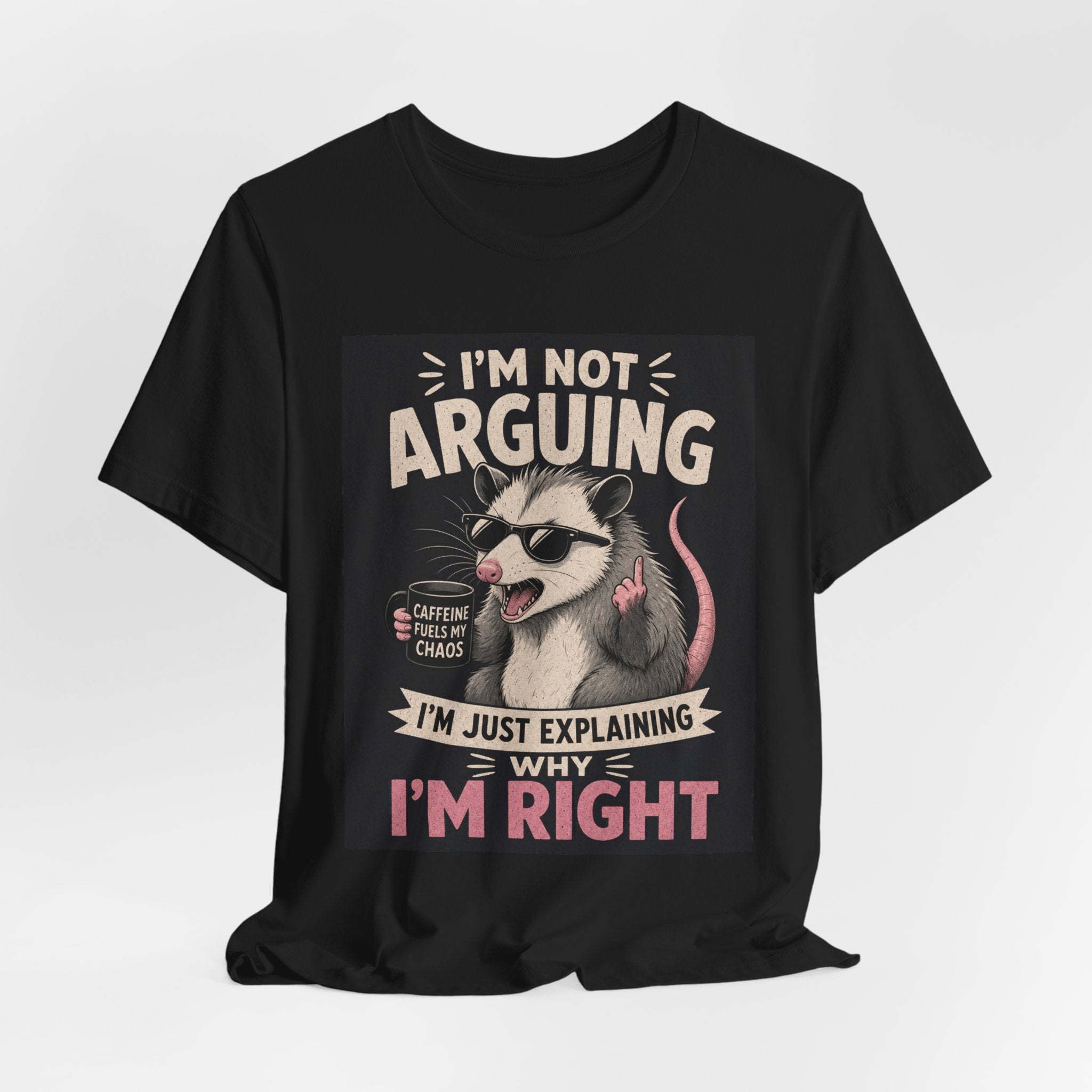 I'm Not Arguing (I'm Just Explaining Why I'm Right) Possum T-Shirt