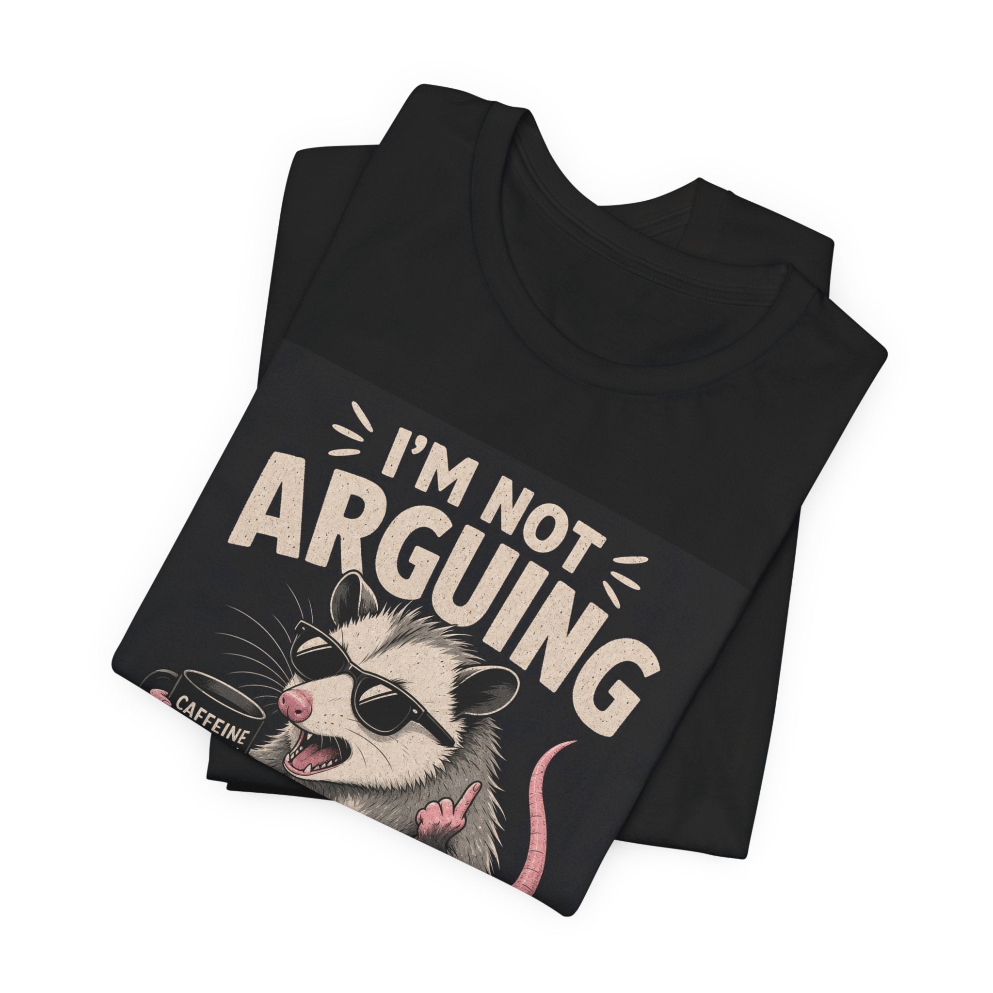 I'm Not Arguing (I'm Just Explaining Why I'm Right) Possum T-Shirt