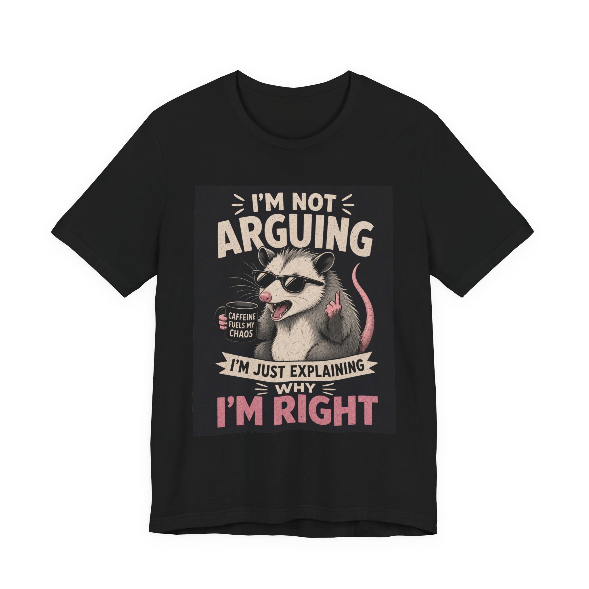 I'm Not Arguing (I'm Just Explaining Why I'm Right) Possum T-Shirt